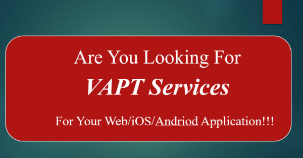 I will provide professional vapt services with fast delivery in 3 days